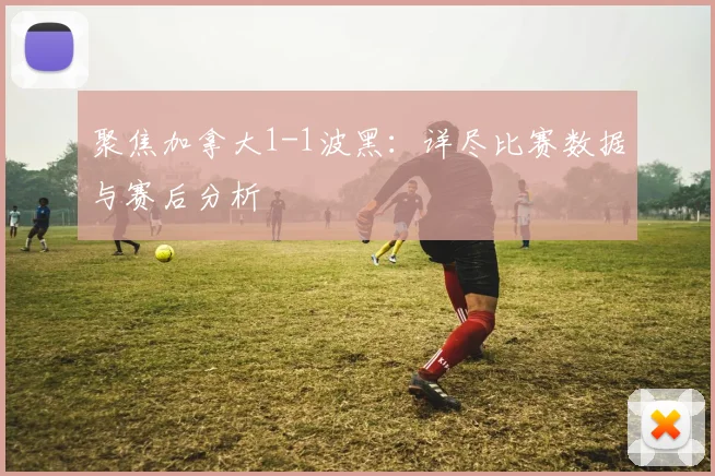 聚焦加拿大1-1波黑:详尽比赛数据与赛后分析