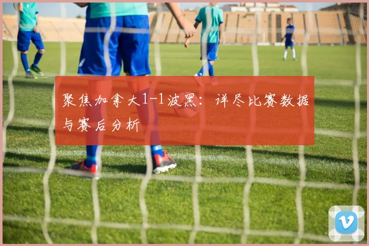 聚焦加拿大1-1波黑：详尽比赛数据与赛后分析